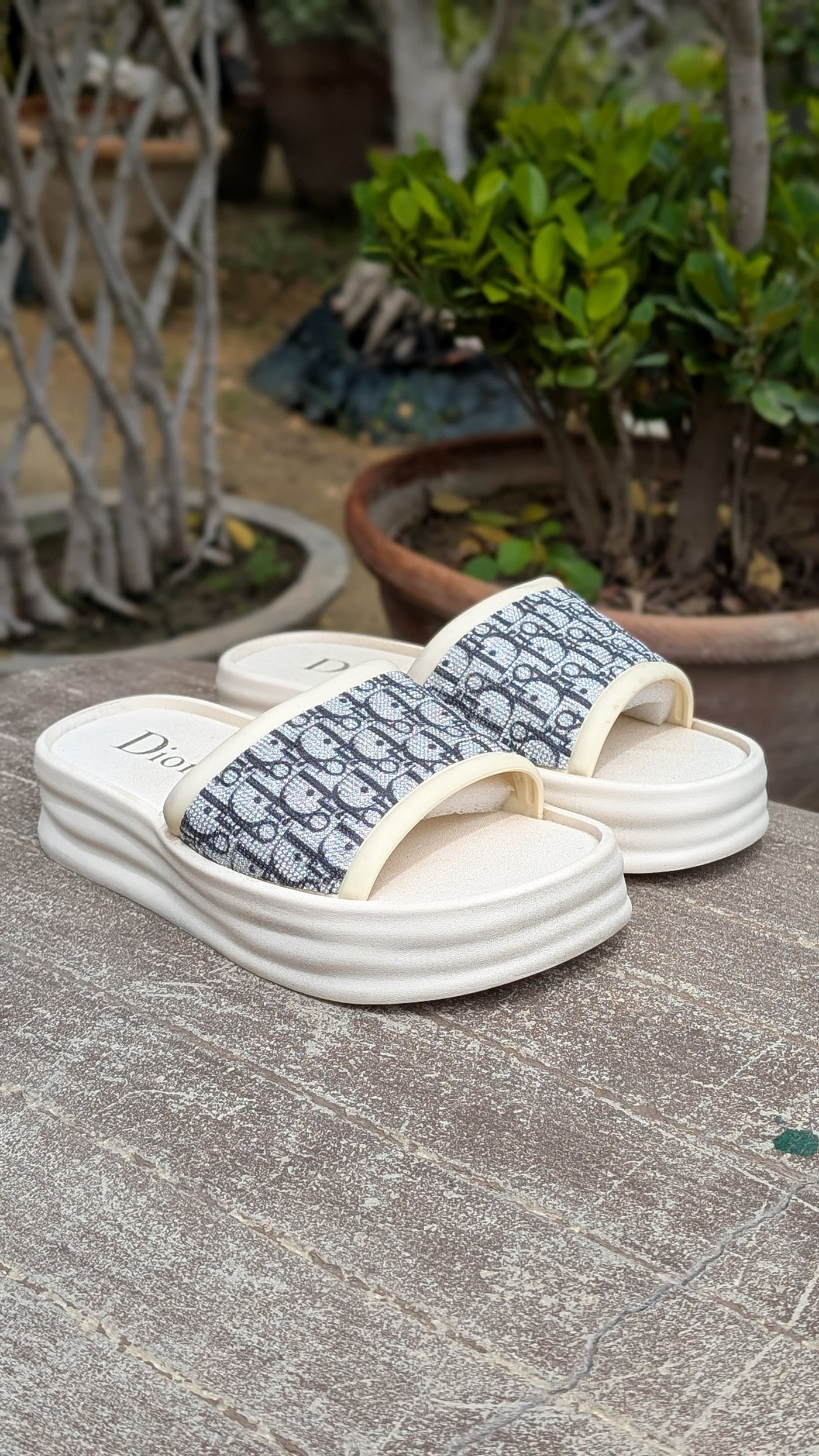 Dior WEG Slippers