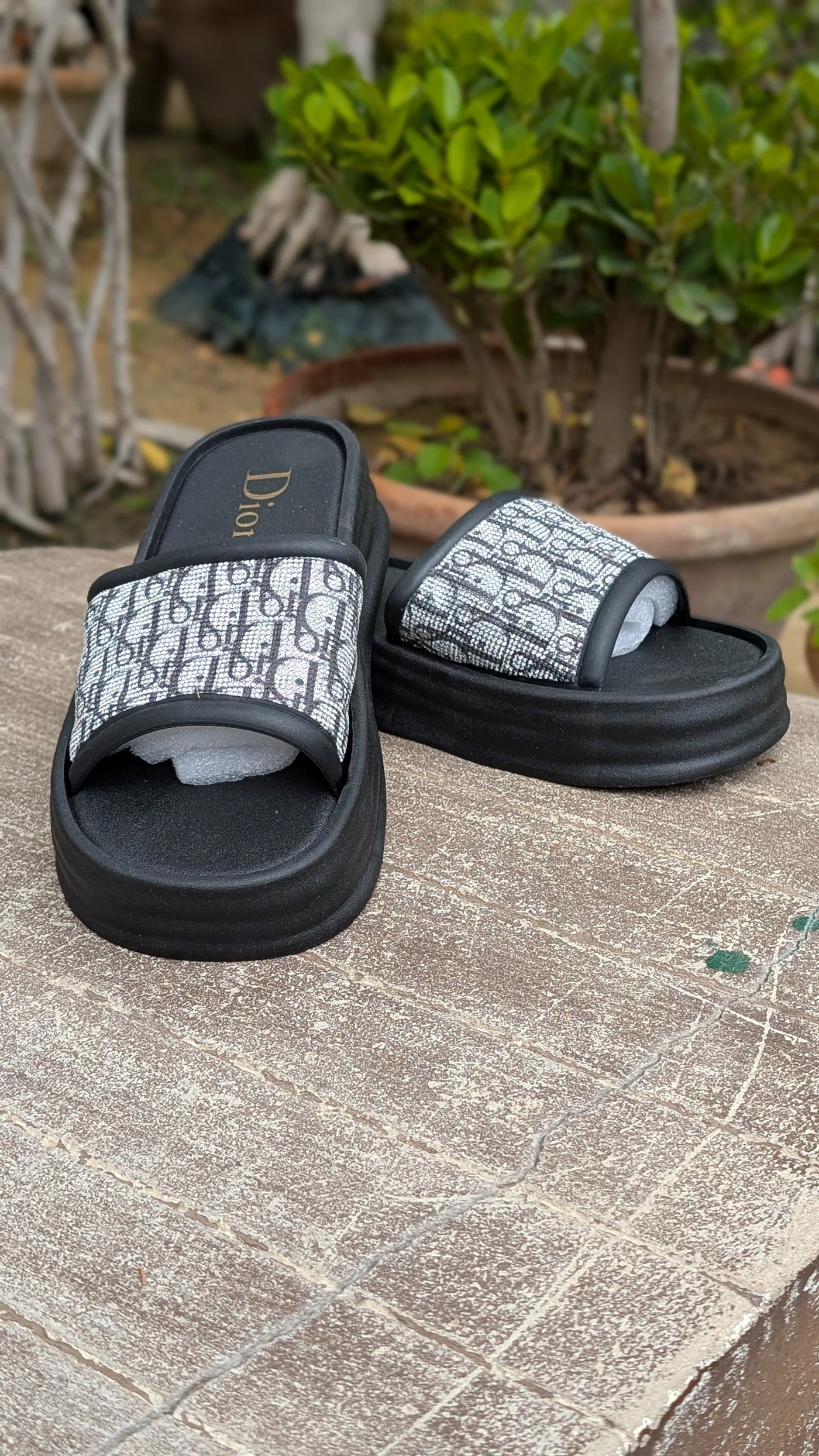 Dior WEG Slippers